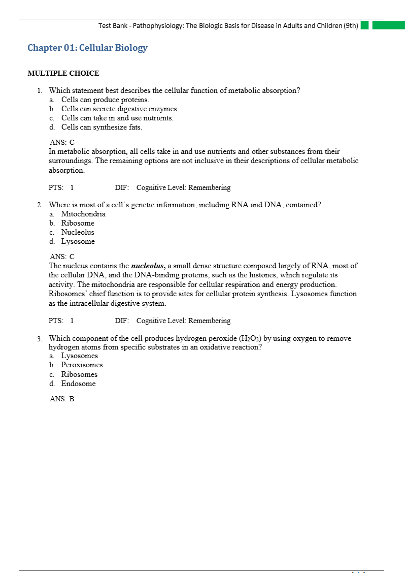 Document Page 4